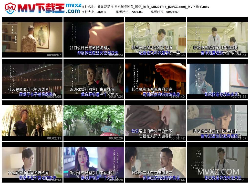 孔雀哥哥-你回东川看过我_国语_流行_MB301714